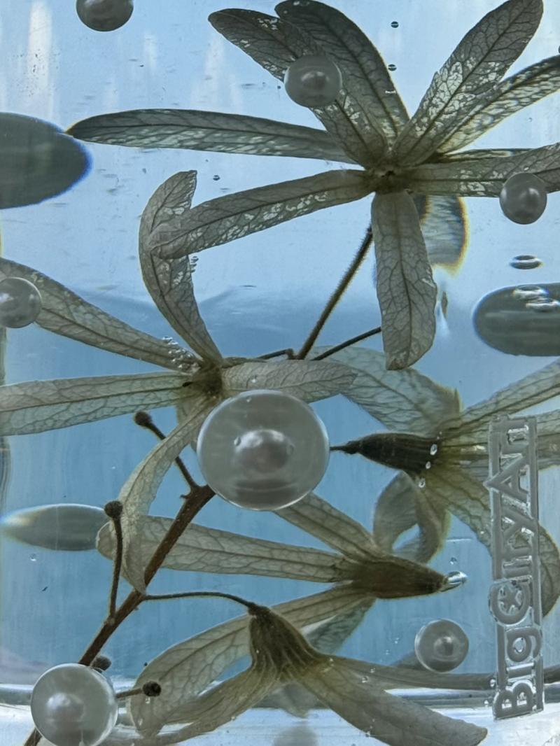 117 Soy candle and epoxy resin